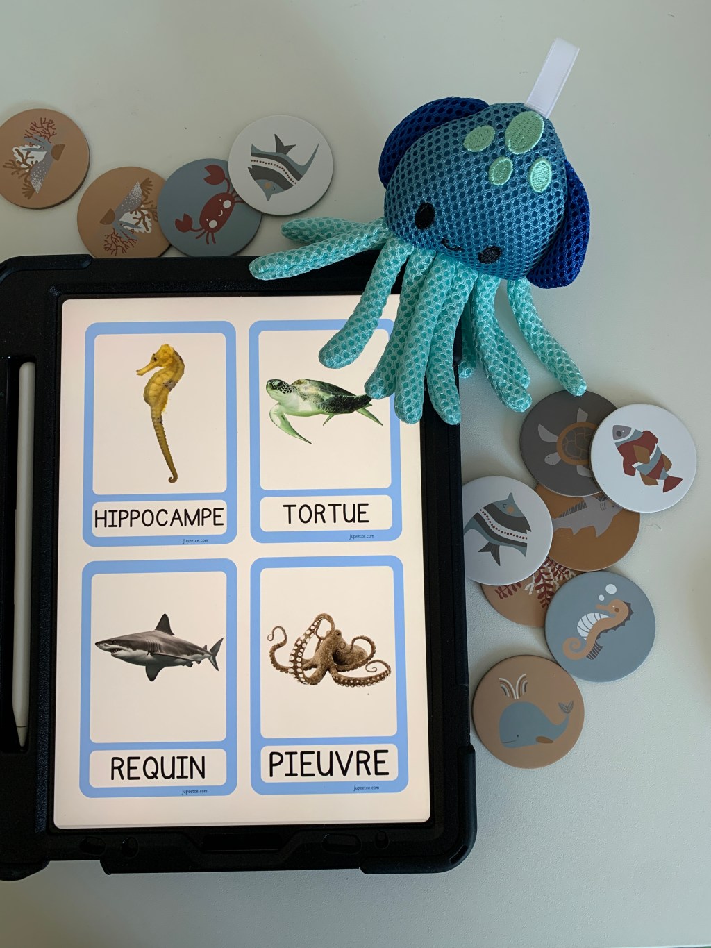 Cartes de Nomenclature : Thème de la&nbsp;Mer